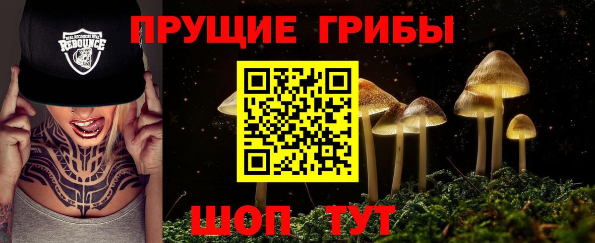 Саров  Псилоцибиновые грибы мухоморы  Вход с VPN 